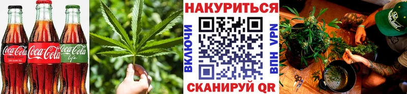 Canna-Cookies конопля  Высоковск 
