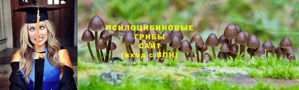 прущие грибы Верхнеуральск