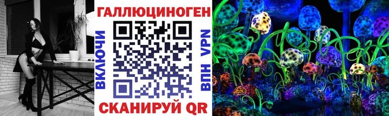 цены   Высоковск  Псилоцибиновые грибы Psilocybine cubensis 