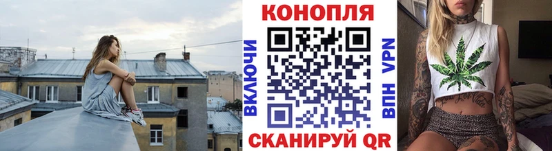 Конопля планчик блэк спрут как зайти Высоковск
